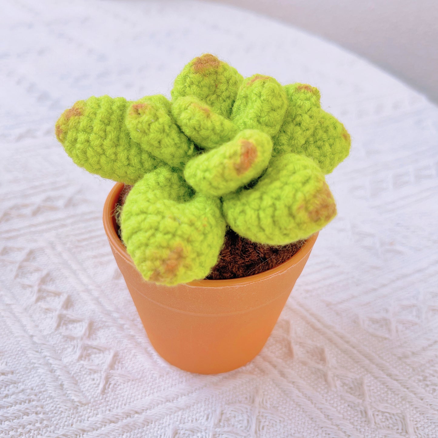 手鉤針織療癒馬鈴薯盆栽|多肉仙人掌腳踏車造型 - 獨特居家擺飾・生日禮物・辦公桌療癒小物