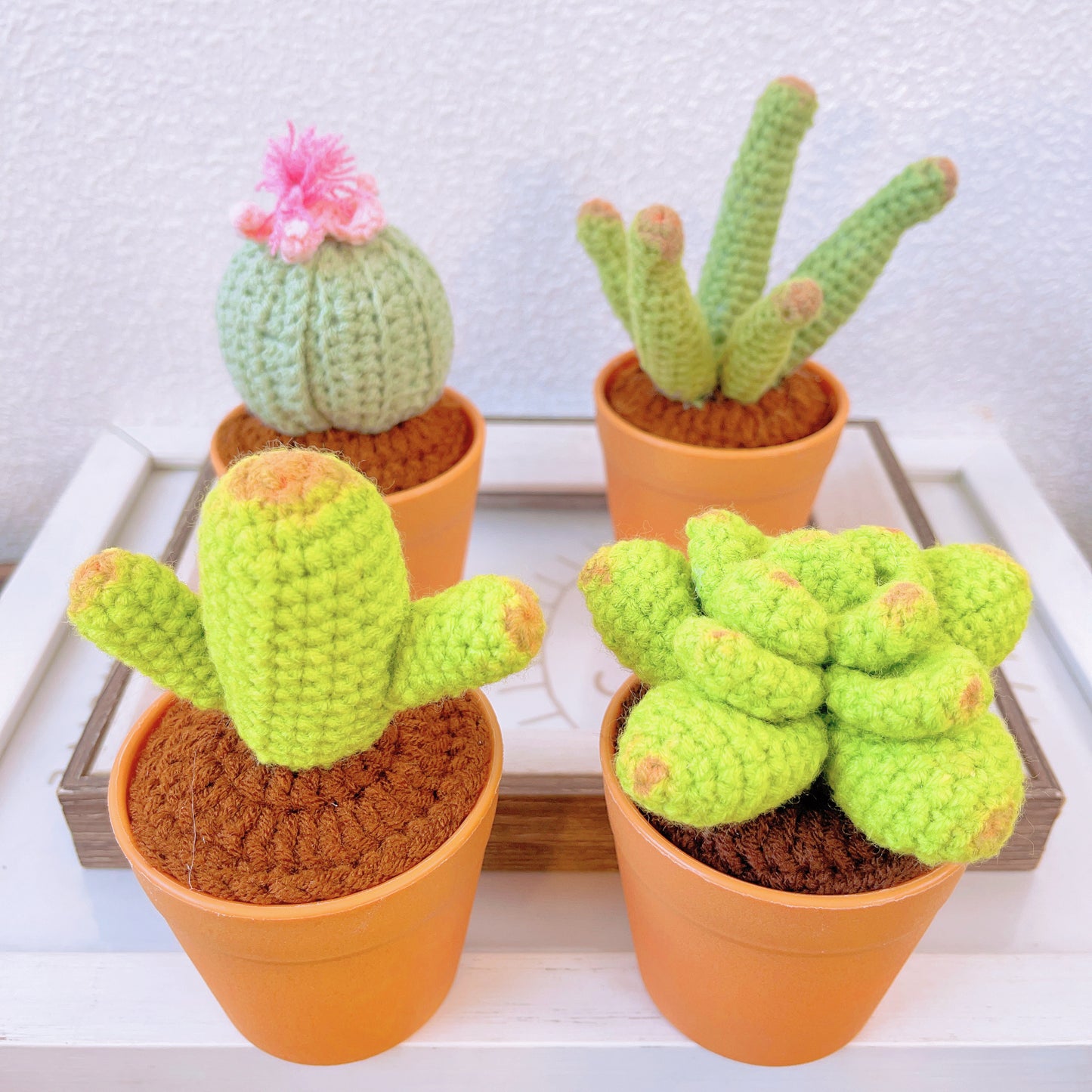 手鉤針織療癒馬鈴薯盆栽|多肉仙人掌腳踏車造型 - 獨特居家擺飾・生日禮物・辦公桌療癒小物