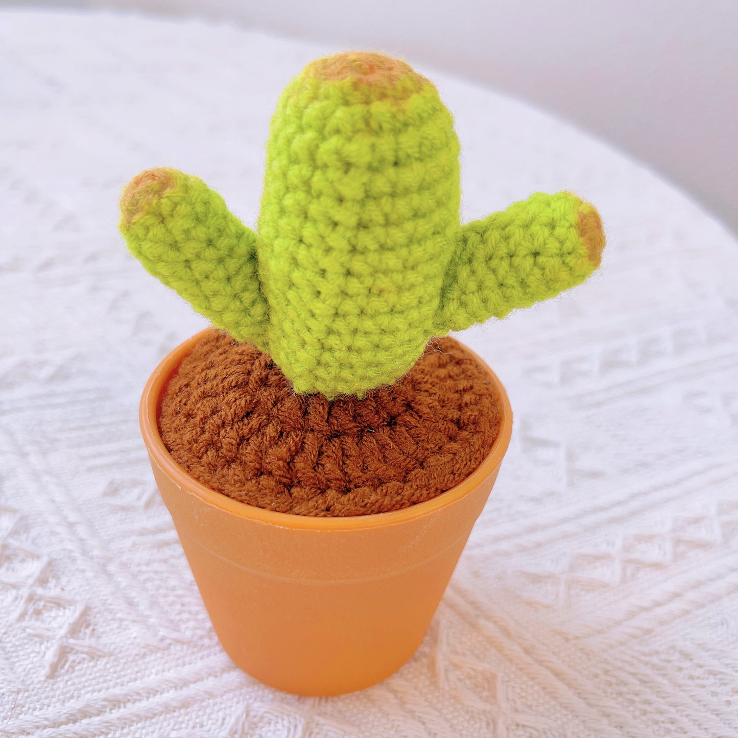 手鉤針織療癒馬鈴薯盆栽|多肉仙人掌腳踏車造型 - 獨特居家擺飾・生日禮物・辦公桌療癒小物