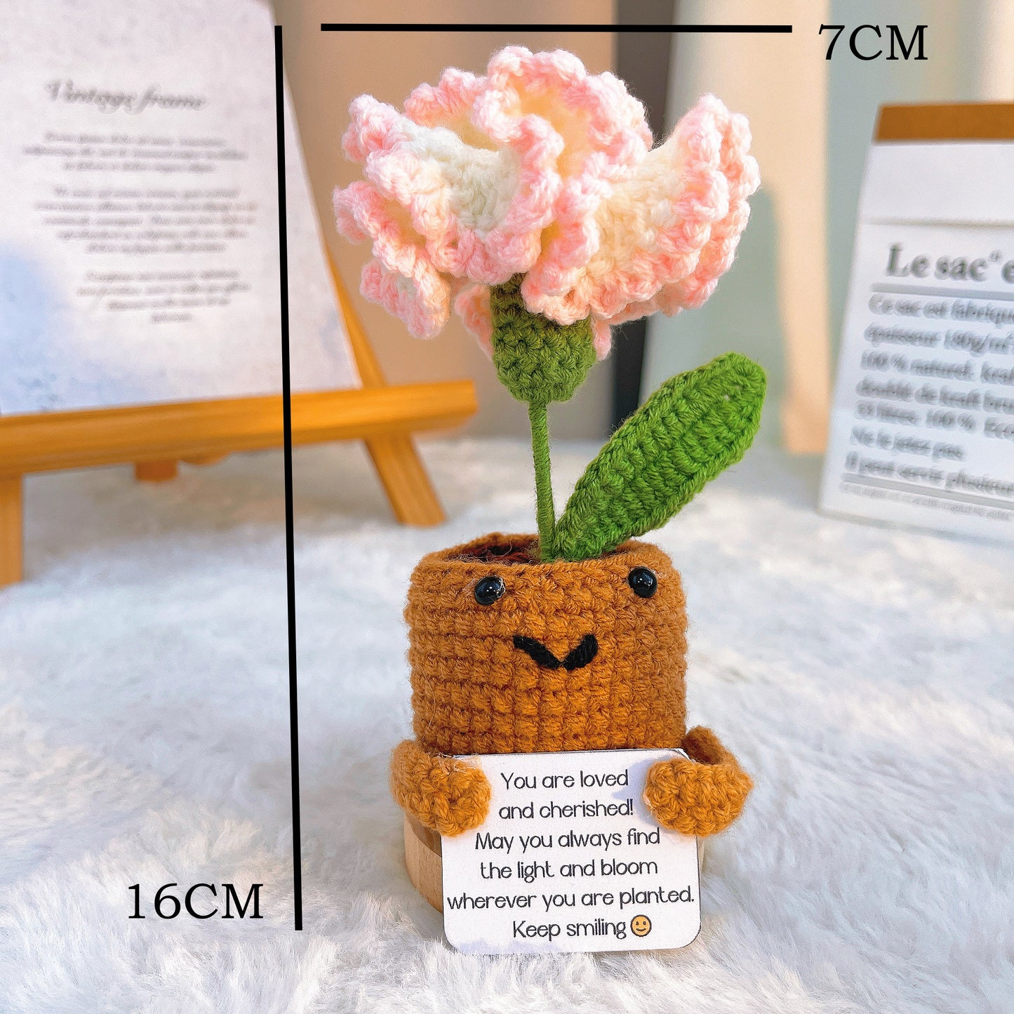 January Birth Month Carnation Bouquet - Birthday Flower Celebration Hand-Crocheted Single Stem Bouquet