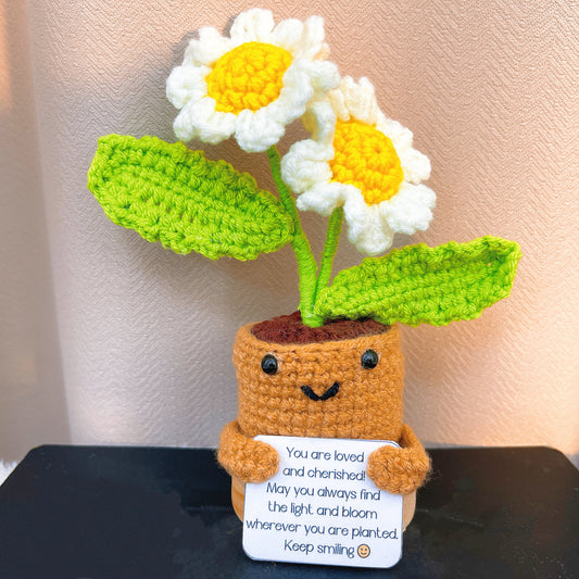 手作鉤織|四月生日花、雛菊盆栽、客製化訊息卡片座|不過敏、永恆禮物、送禮