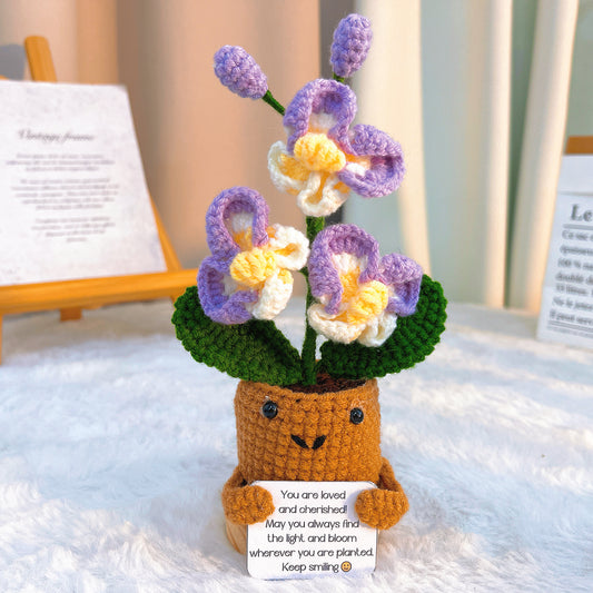 手作鉤織|八月生日花、劍蘭、蘭花卡片座|不過敏、永恆擺飾、居家佈置、送禮