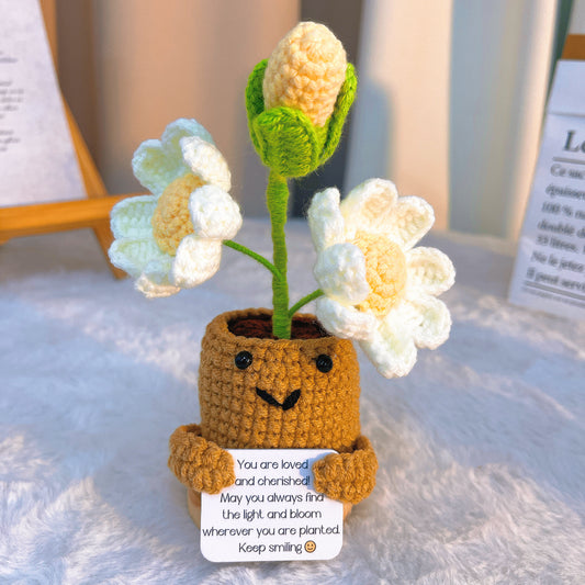 手作鉤織|十一月生日花、雛菊卡片座|不過敏、永恆擺飾、居家佈置、送禮