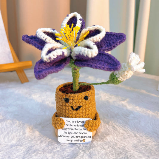 手作鉤織|二月生日花、科羅拉多州海芋、客製化訊息卡片座|不過敏、永恆禮物、生日、情人節、送禮