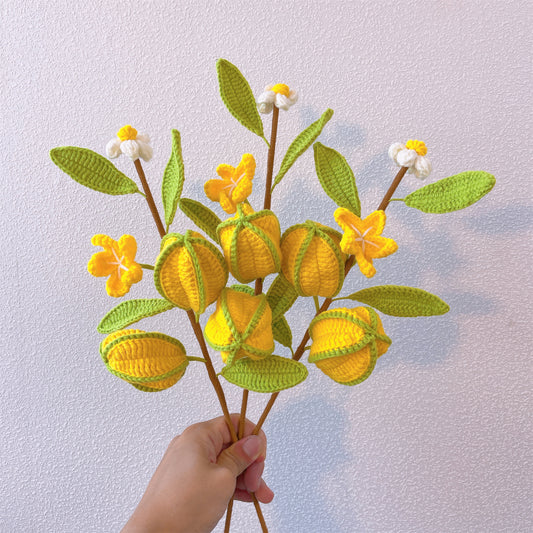 閃耀星芒:手工鉤針編織楊桃造型花樁,打造趣味花園裝飾