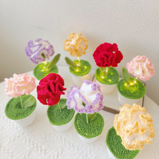 手工鉤針編織康乃馨盆栽 - 逼真仿真花 - 獨特家居裝飾 - 植物愛好者的完美禮物 - 手工製作