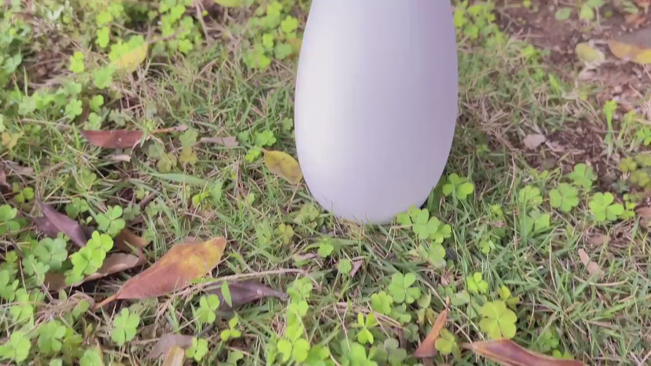 Beautiful Handmade Crochet Carnation and Puff Daisy Mini Bouquet - The Perfect Gift for Birthday Gift, Anniversaries, or Any Occasion