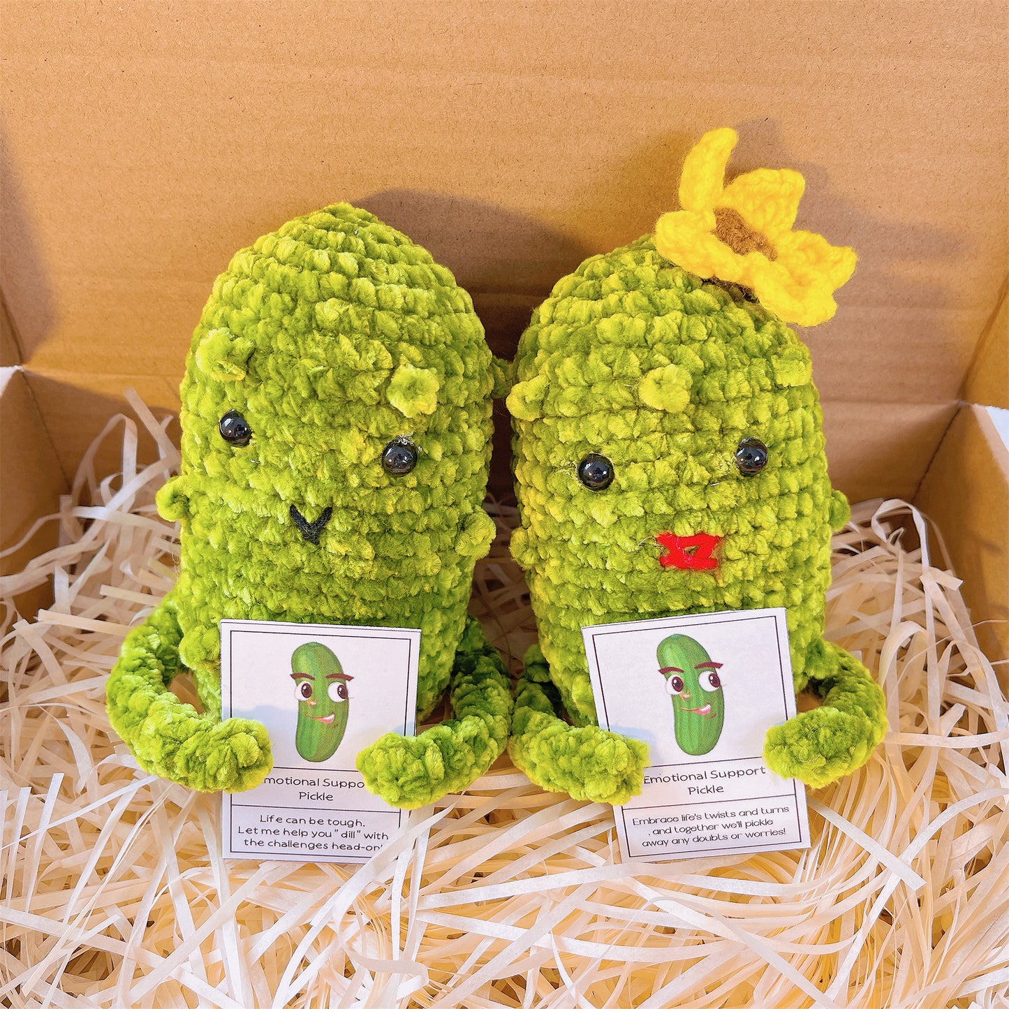 Custom Text Emotional Support Pickles for Bundle Set Get Well Handmade Positive Gift for Pickle Lover Stay Happy Motivated New Year Resolution Gift Exchange Family Giving