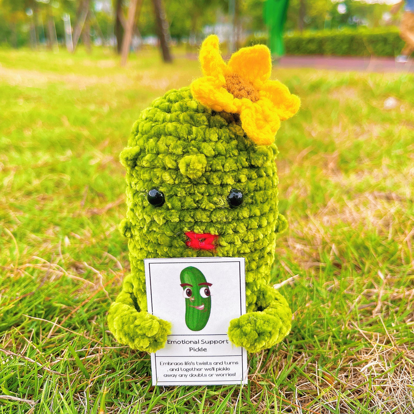 Conjunto de Presente Personalizado de Pickles Crochê Feito à Mão para Casais e Amigos (Texto Personalizado Disponível)