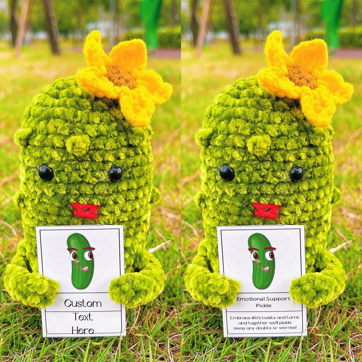 Conjunto de Presente Personalizado de Pickles Crochê Feito à Mão para Casais e Amigos (Texto Personalizado Disponível)