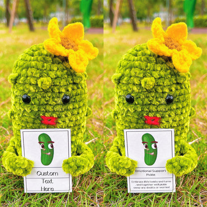 Conjunto de Presente Personalizado de Pickles Crochê Feito à Mão para Casais e Amigos (Texto Personalizado Disponível)