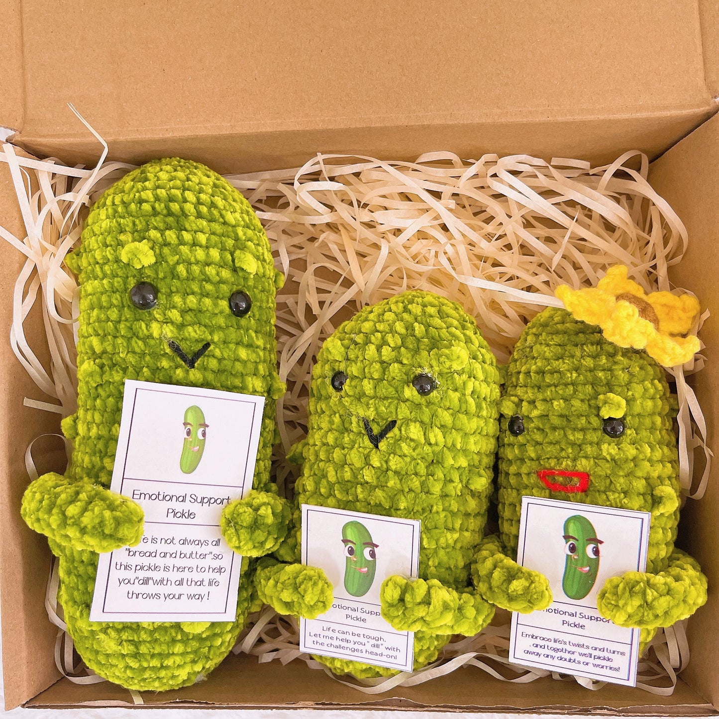 Custom Text Emotional Support Pickles for Bundle Set Get Well Handmade Positive Gift for Pickle Lover Stay Happy Motivated New Year Resolution Gift Exchange Family Giving