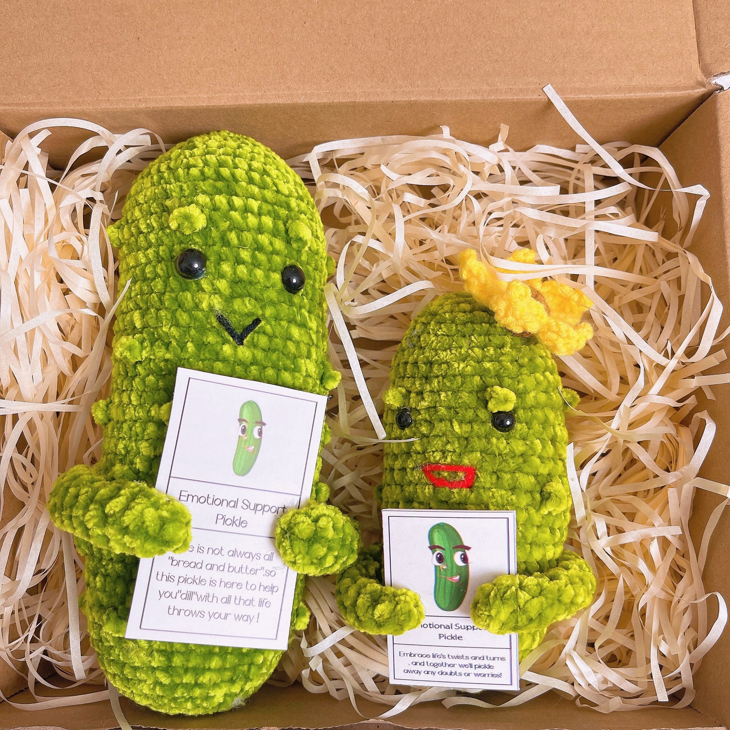 Custom Text Emotional Support Pickles for Bundle Set Get Well Handmade Positive Gift for Pickle Lover Stay Happy Motivated New Year Resolution Gift Exchange Family Giving