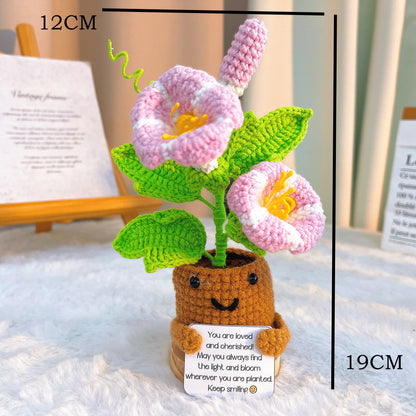 九月誕生月牽牛花生日花束 - 手作鉤針單支鉤織款 - 園藝愛好者或九月慶典之理想選擇
