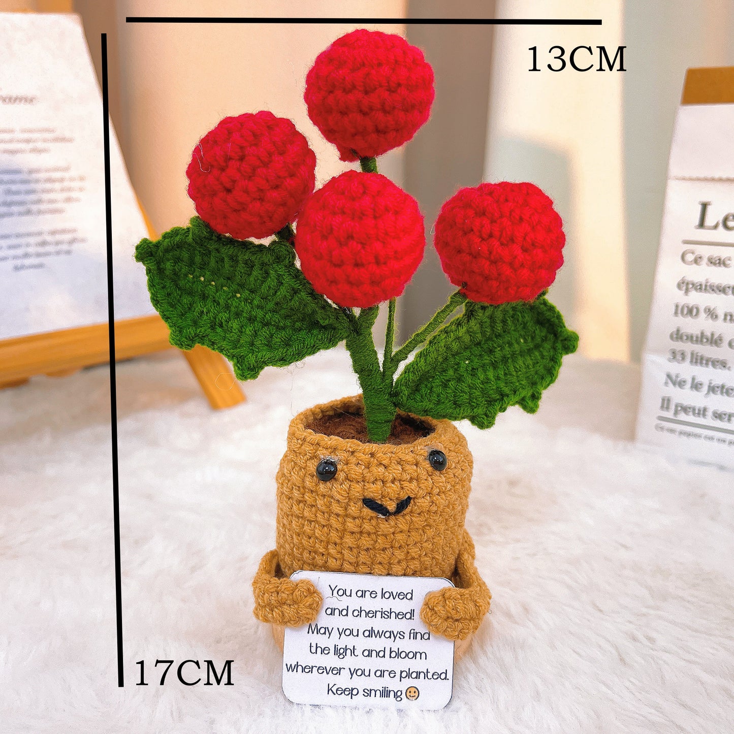 12月誕生花 聖誕紅花束 - 手鉤生日/聖誕節花禮（附節慶包裝）