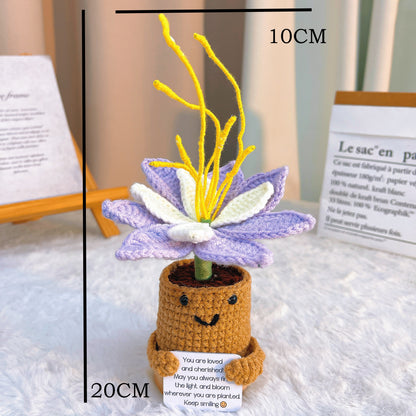 July Birth Month Flower Water Lily with Custom Message Planter, Hypoallergenic Gift for Birthday, Summer Decor, Desk Ornament