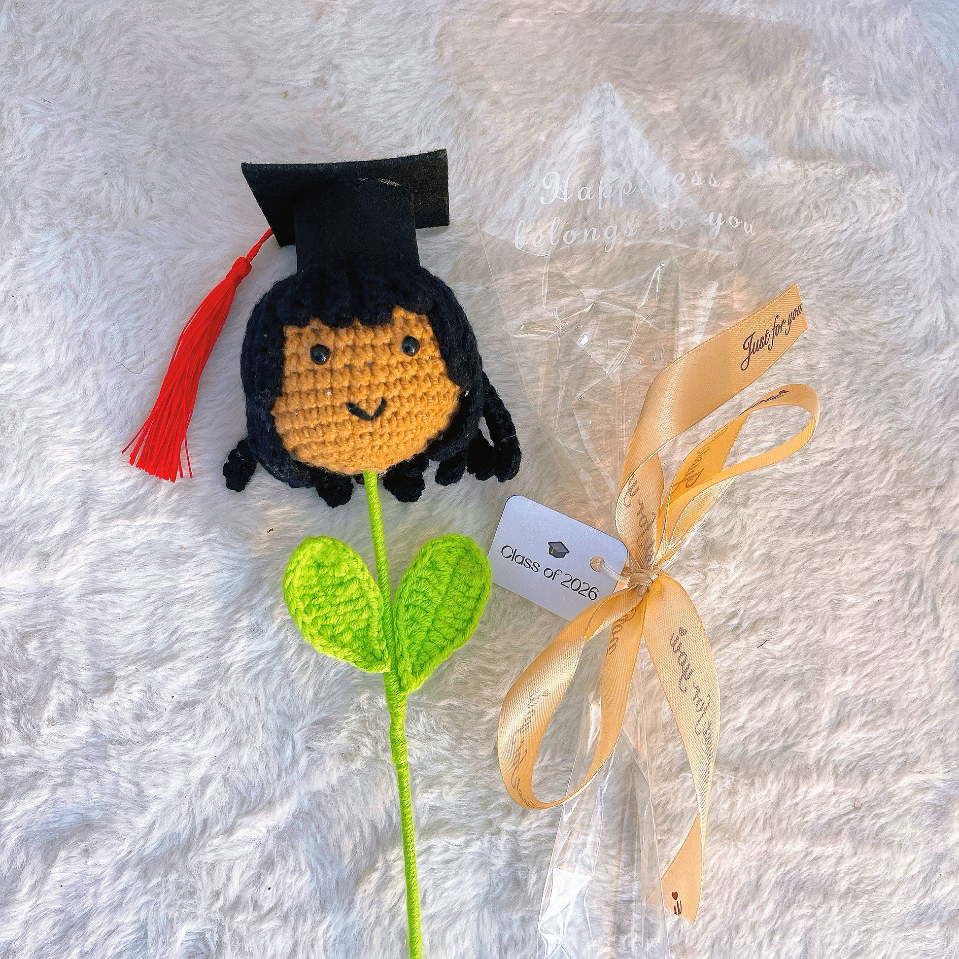 Customizable Crochet Graduation Doll Flower Mini Bouquet - Pride Graduate with Customizable Text "Class of 2026" Card - Hypoallergenic Gift, Teacher Appreciation & School Events - The Bloom Crafter