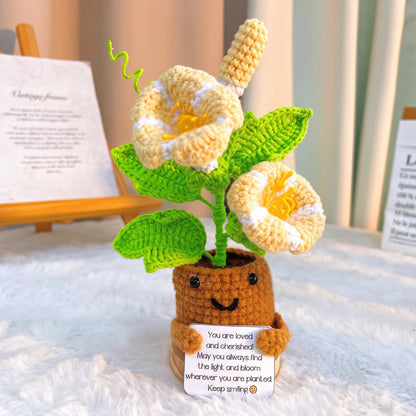 September Geburtsmonat Blume Morning Glory mit individueller Botschaft Übertopf, Hypoallergenes Geschenk zum Geburtstag, Herbstdekoration, Schreibtischornament
