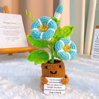 September Geburtsmonat Blume Morning Glory mit individueller Botschaft Übertopf, Hypoallergenes Geschenk zum Geburtstag, Herbstdekoration, Schreibtischornament