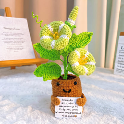 September Geburtsmonat Blume Morning Glory mit individueller Botschaft Übertopf, Hypoallergenes Geschenk zum Geburtstag, Herbstdekoration, Schreibtischornament