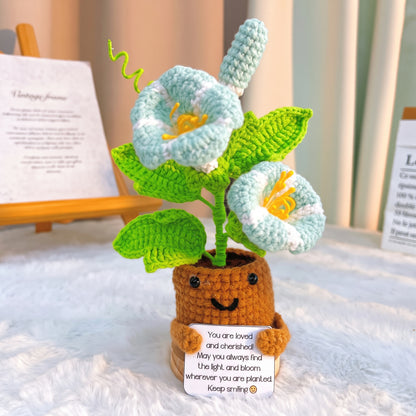 September Geburtsmonat Blume Morning Glory mit individueller Botschaft Übertopf, Hypoallergenes Geschenk zum Geburtstag, Herbstdekoration, Schreibtischornament