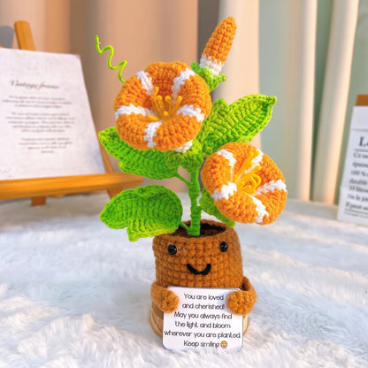 September Geburtsmonat Blume Morning Glory mit individueller Botschaft Übertopf, Hypoallergenes Geschenk zum Geburtstag, Herbstdekoration, Schreibtischornament