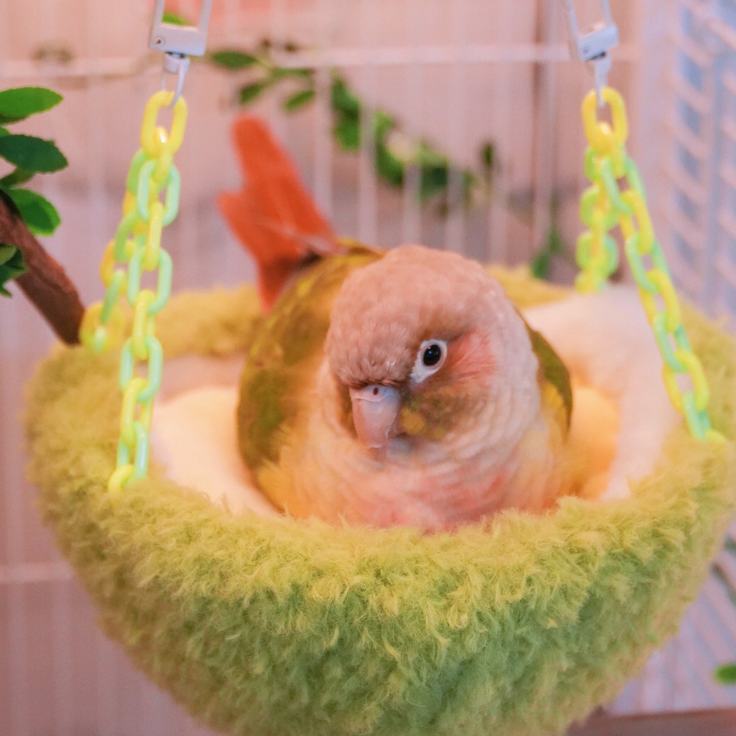 Handgefertigtes grün-gelbes Papageiennest im Durian-Design mit Haken und Kunststoffketten, hängendes Vogelhäuschen für den Käfig, halbmondförmige Form mit Baumwollfüllung, gemütlicher Schlafplatz für Hausvögel