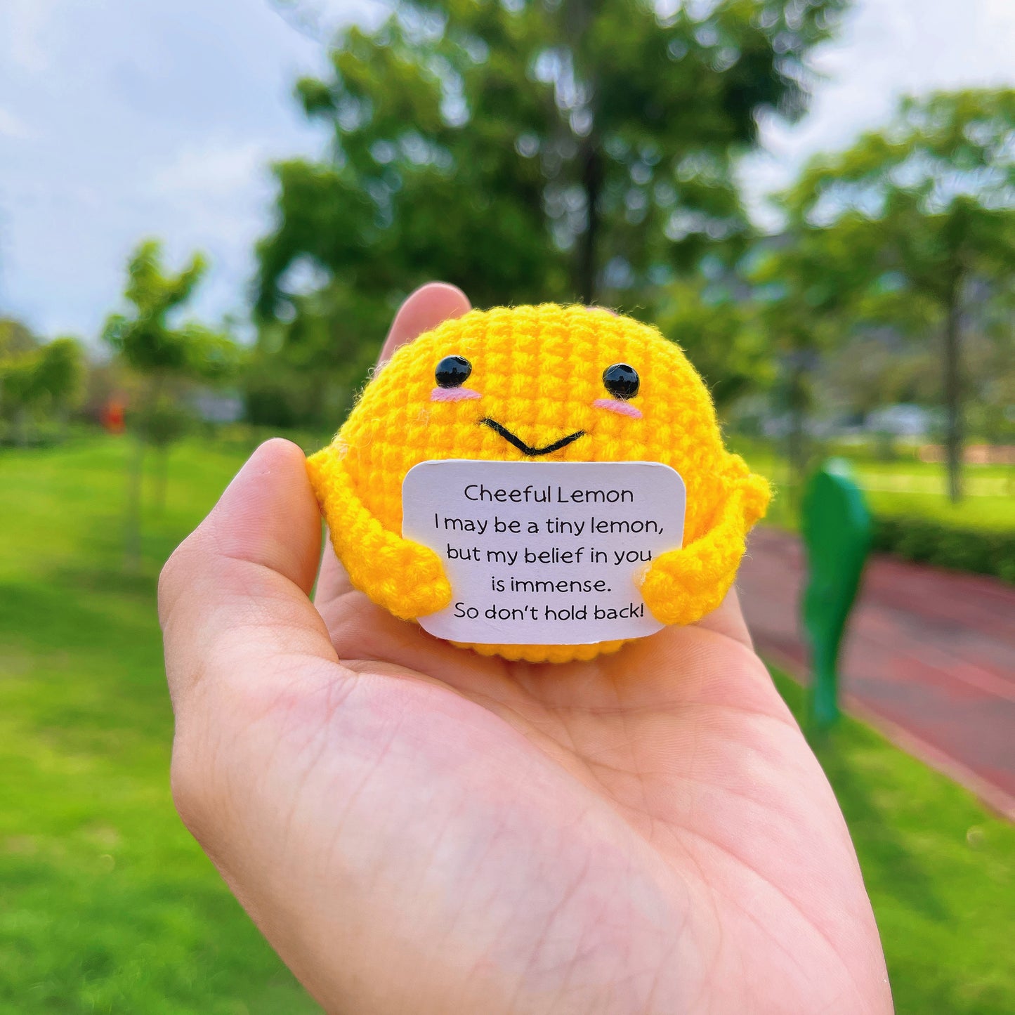 Cuscinetti a maglia personalizzati per sostegno emotivo: Sottaceto, Pipì Supportivo, Limone Allegro e Nugget di Pollo, con biglietti di auguri personalizzati - Regali pensati per Compleanni, Guarigione, Ripresa dopo Interventi Chirurgici, Sollievo dallo S