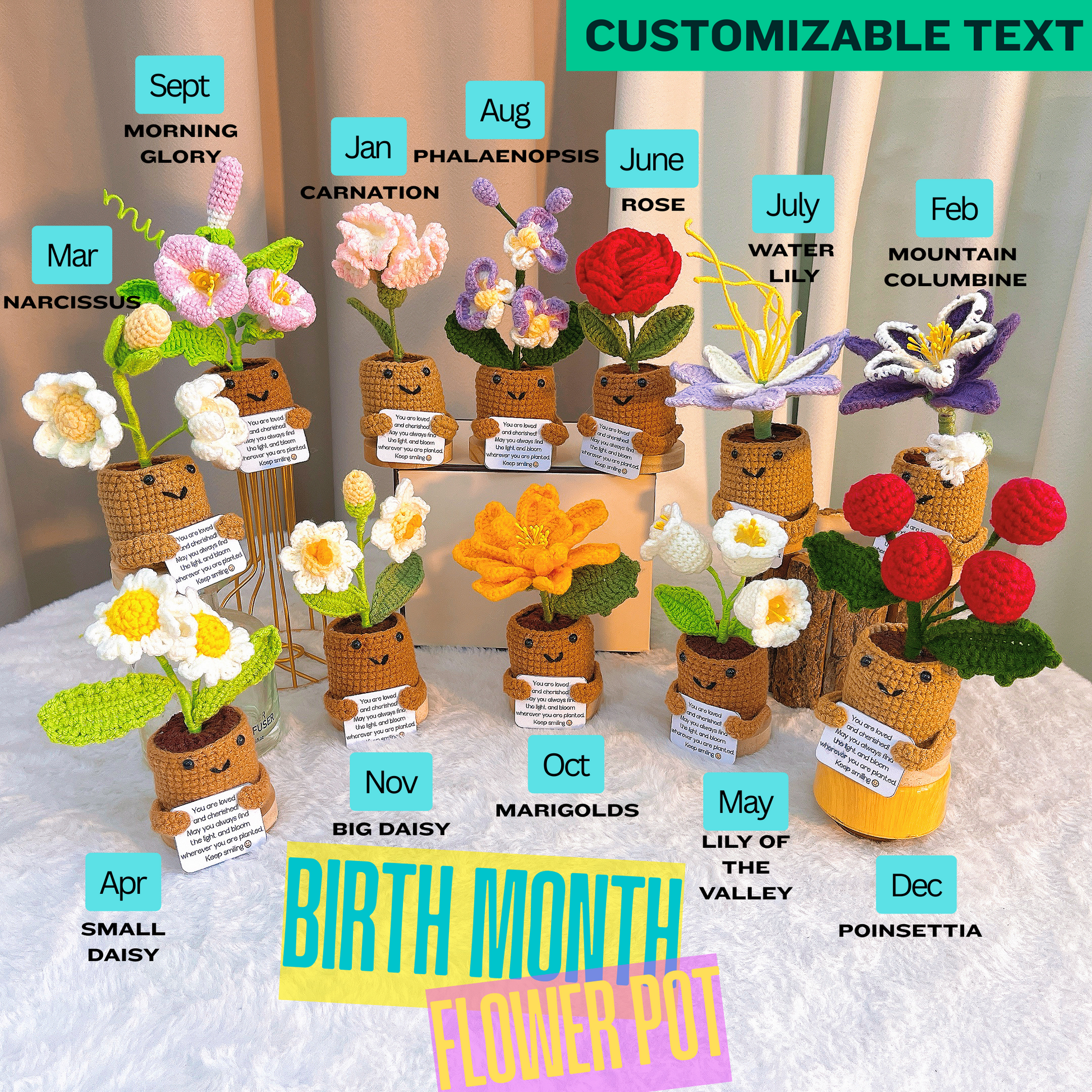 customizable plant pot December Birth Month Flower Poinsettia Christmas with Custom Message Planter, Hypoallergenic Holiday Gift, Christmas Decor, Desk Ornament