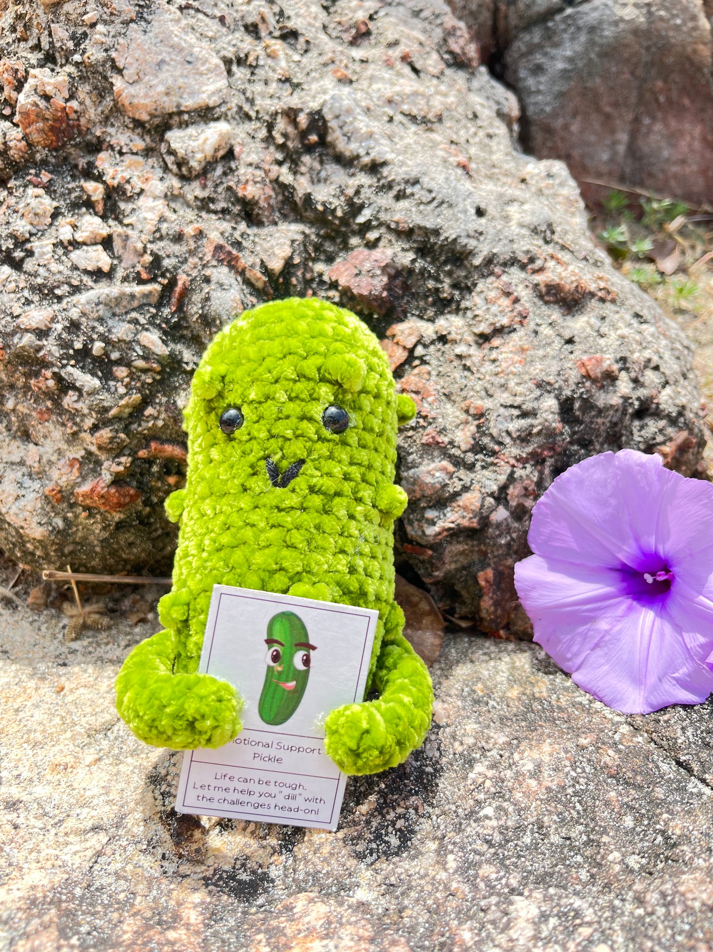 Custom Text Emotional Support Pickles for Bundle Set Get Well Handmade Positive Gift for Pickle Lover Stay Happy Motivated New Year Resolution Gift Exchange Family Giving
