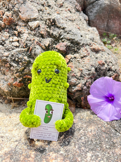 Custom Text Emotional Support Pickles for Bundle Set Get Well Handmade Positive Gift for Pickle Lover Stay Happy Motivated New Year Resolution Gift Exchange Family Giving