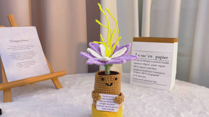 July Birth Month Flower Water Lily with Custom Message Planter, Hypoallergenic Gift for Birthday, Summer Decor, Desk Ornament