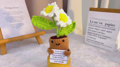 四月誕生花「雛菊花束」——手工精選鉤織三色雛菊-慶祝特殊場合的生日花