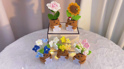 Handmade Crochet Flower Supportive Planter - Wooden Base with Smiling Face, Custom Message Card Roses, Forget-Me-Nots , Sunflower- Hypoallergenic Gift for Valentine's, Mother's Day & Housewarming