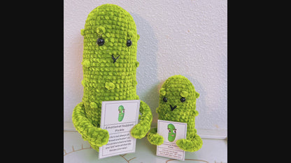 [Shipped from US]Emotional Support Pickles for Bundle Set Get Well Handmade Positive Gift for Pickle Lover Stay Happy Motivated New Year Resolution Gift Exchange Family Giving