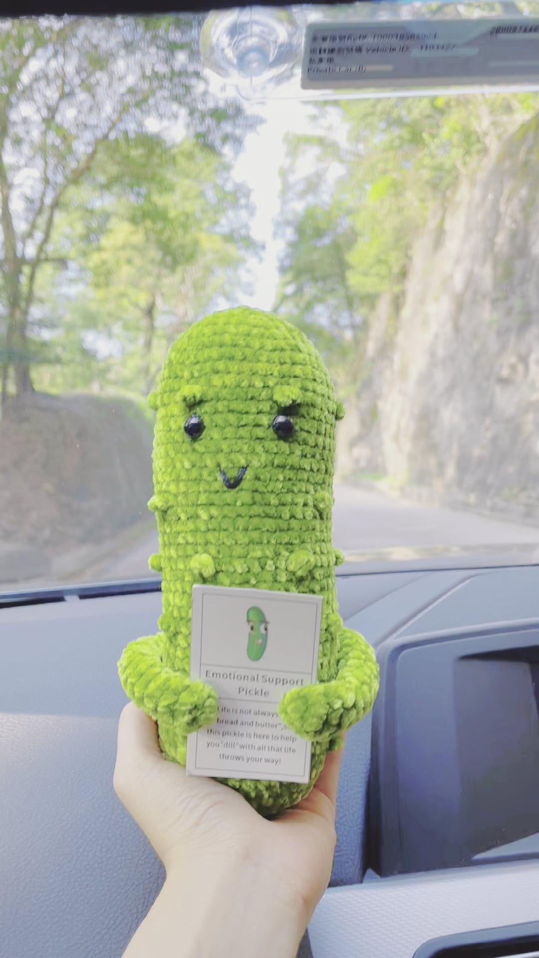 Custom Text Handmade Emotional Support Pickles for Bundle Set