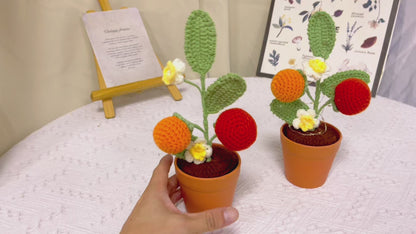 Piano di Persico a Maglia Fatto a Mano - Replica Realista di Frutto - Decorazione Unica per la Casa - Regalo Perfetto per gli Amanti delle Piante - Artigianale