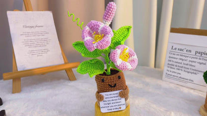 九月誕生月牽牛花生日花束 - 手作鉤針單支鉤織款 - 園藝愛好者或九月慶典之理想選擇